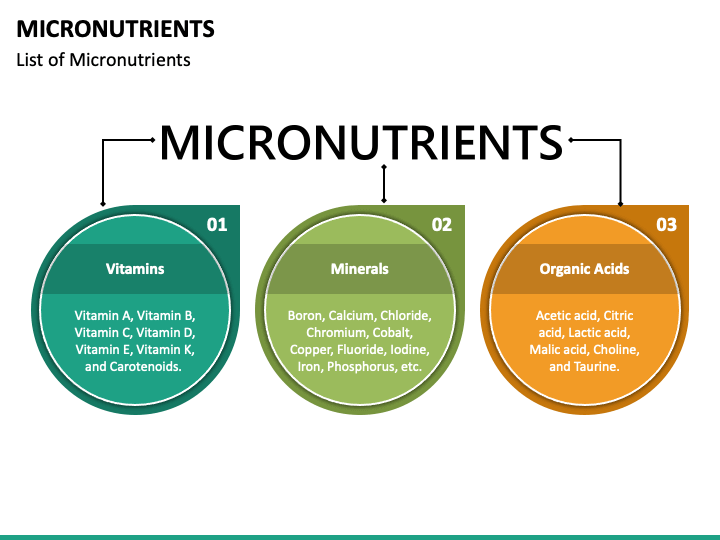presentation on micro nutrients