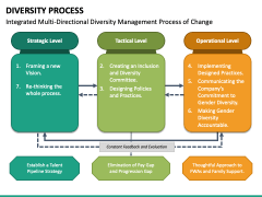 Diversity Process PPT Slide 4
