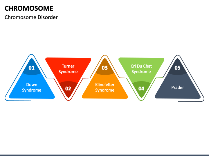 Chromosome PowerPoint And Google Slides Template - PPT Slides