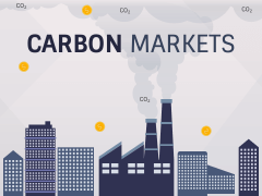 Carbon Markets PPT Slide 1