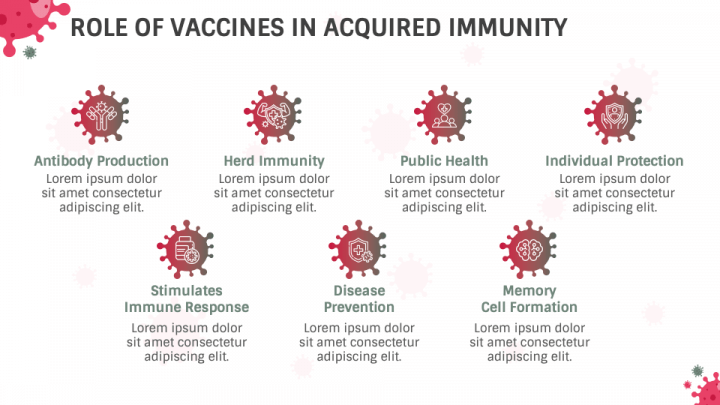 Free - Free - Acquired Immunity PowerPoint and Google Slides Template ...
