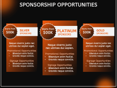 Music Event Sponsorship Proposal PPT Slide 7