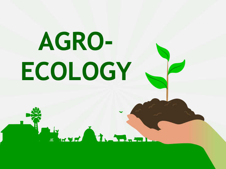 Agroecology PPT Slide 1