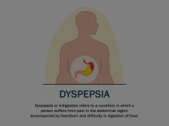 Dyspepsia Animated Presentation - SketchBubble