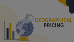 Geographical Pricing Animated Presentation - SketchBubble
