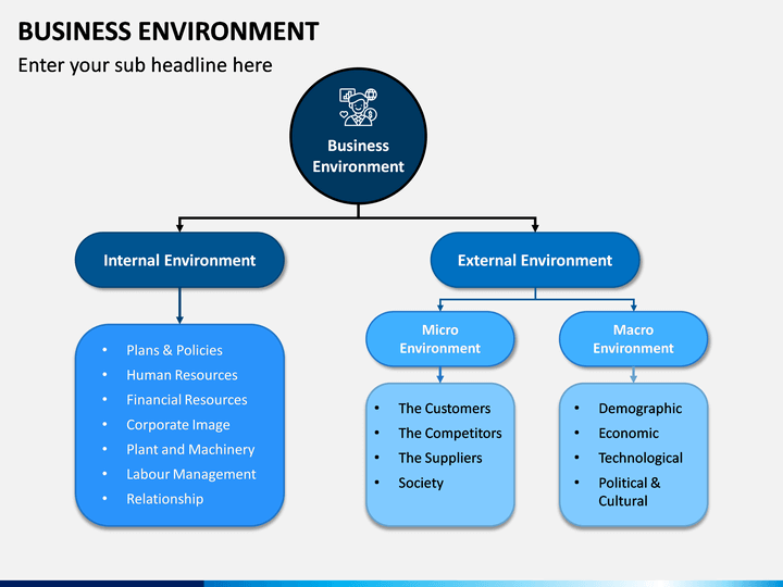 presentation of business environment