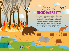 Loss of Biodiversity PowerPoint and Google Slides Template - PPT Slides