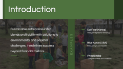 Sustainable Entrepreneurship PPT Slide 2