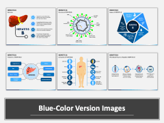 Hepatitis B PowerPoint And Google Slides Template - PPT Slides