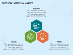 hospital business plan template free