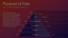 Pyramid of Pain in Cybersecurity Animated Presentation - SketchBubble