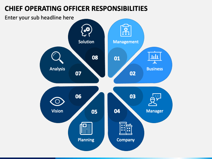 Chief Officer Roles And Responsibilities