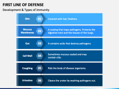 First Line Of Defense PPT Slide 3
