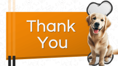 Dog Presentation PPT Slide 11