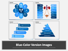 Urology PowerPoint And Google Slides Template - PPT Slides