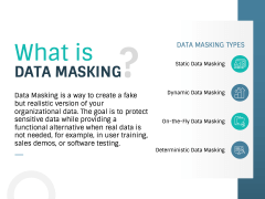 Data Masking PPT Slide 2