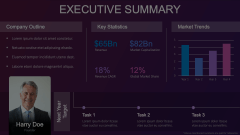 Creative Executive Summary Slide Animated Presentation - SketchBubble
