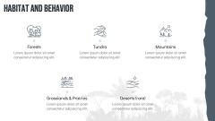 Wolf Theme PPT Slide 8