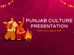 presentation on culture of punjab