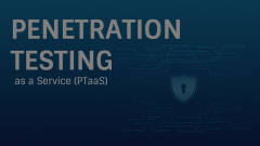Penetration Testing as a Service (PTaaS) Animated Presentation - SketchBubble