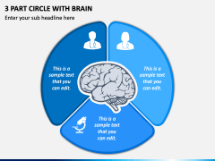 3 Part Circle with Brain PPT Slide 2