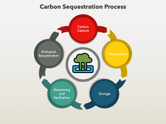 Carbon Sequestration PPT Slide 5