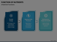 Function of Nutrients Animated Presentation - SketchBubble