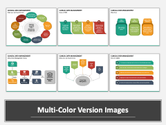 Clinical Data Management PPT Multicolor Combined