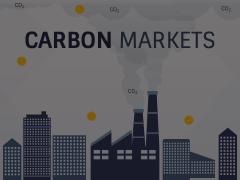 Carbon Markets Animated Presentation - SketchBubble