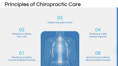Chiropractic Therapy PPT Slide 3