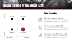 Brand Overview PPT Slide 9