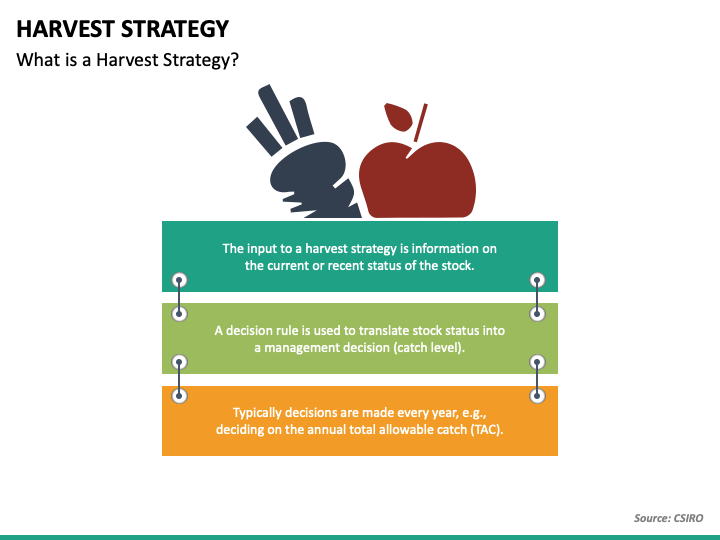harvest strategy business plan