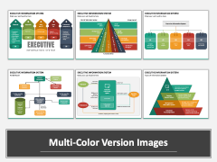 Executive Information System Multicolor Combined