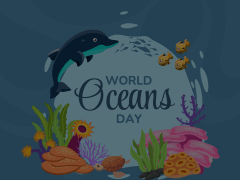 World Oceans Day Animated Presentation - SketchBubble