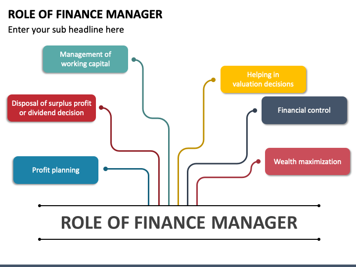 finance manager task