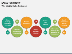 Sales Territory PowerPoint And Google Slides Template - PPT Slides