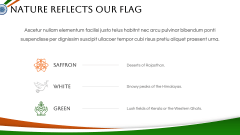 Tricolor Presentation Theme PPT Slide 11