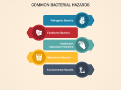 Bacterial Hazards PPT Slide 3