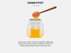 Honeypot PPT Slide 2