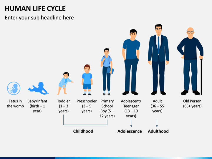 Human Life Cycle PowerPoint Template | SketchBubble