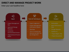 Direct and Manage Project Work Animated Presentation - SketchBubble