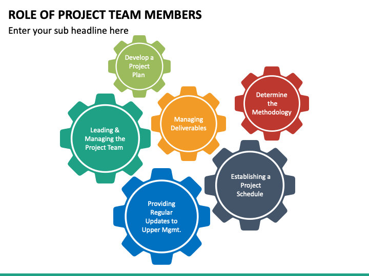 what-are-the-roles-of-team-members