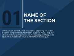 Organization Infographic PPT Slide 3