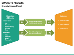 Diversity Process PPT Slide 3