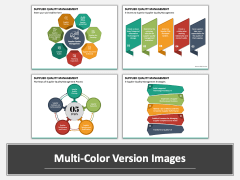 Supplier Quality Management Multicolor Combined