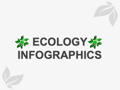 Ecology Infographics PPT Slide 1
