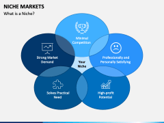 Niche Markets Slide 2
