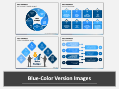 Sales Manager PPT Combined