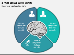 3 Part Circle with Brain PPT Slide 1