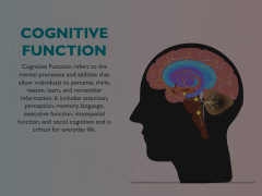 Cognitive Function Animated Presentation - SketchBubble